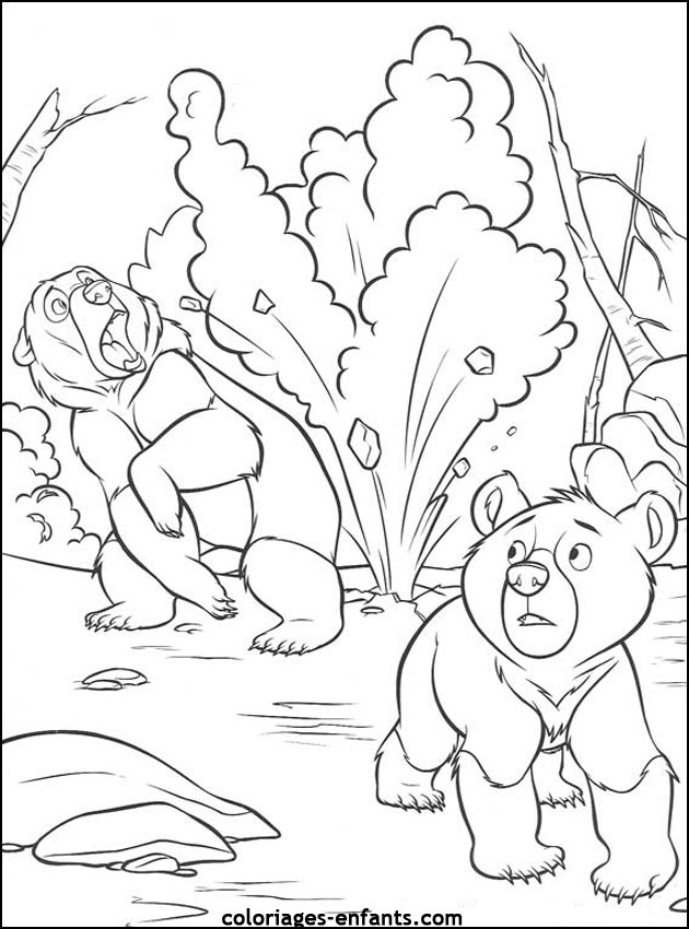 coloriage d'animaux - dessin d'ours  imprimer pour les enfants