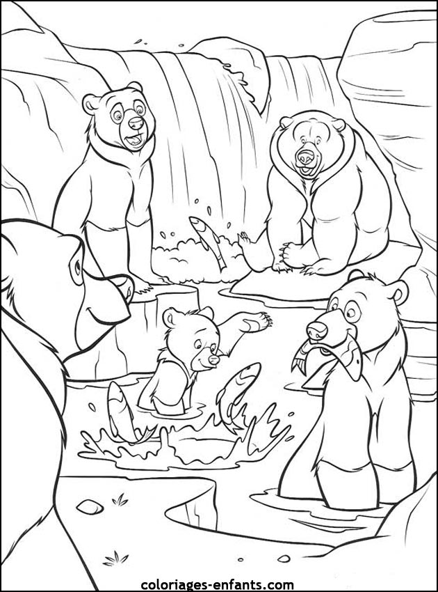 coloriage d'animaux - dessin d'ours  imprimer pour les enfants