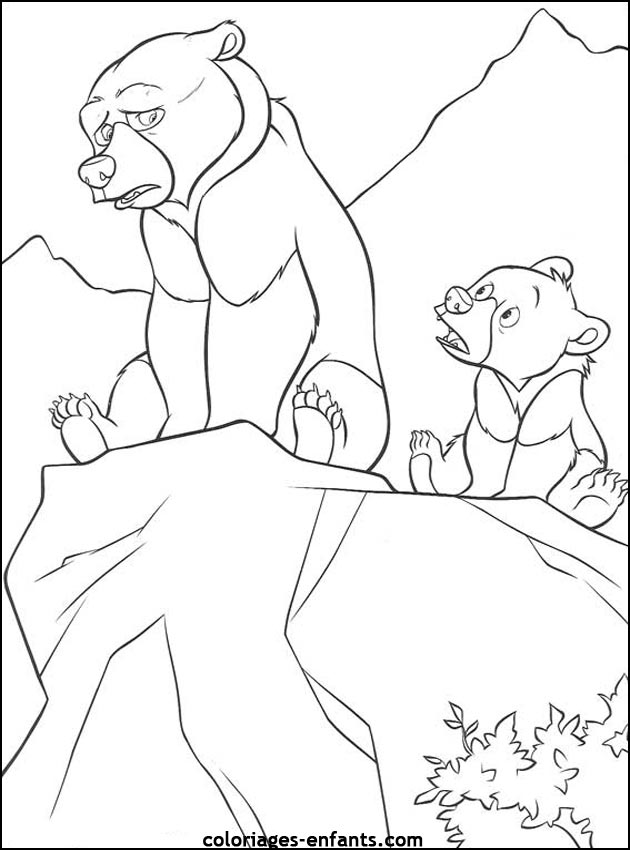 coloriage d'animaux - dessin d'ours  imprimer pour les enfants