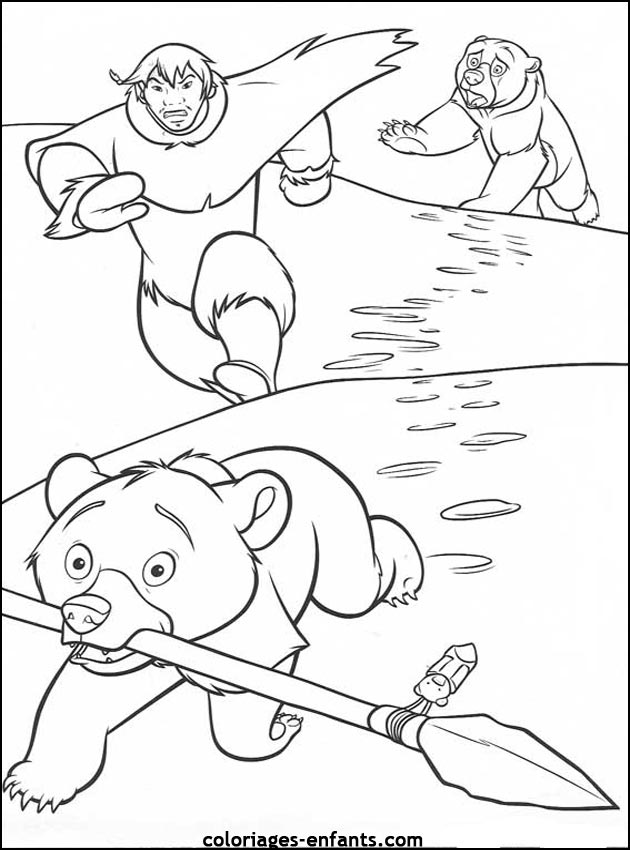 coloriage d'animaux - dessin d'ours  imprimer pour les enfants