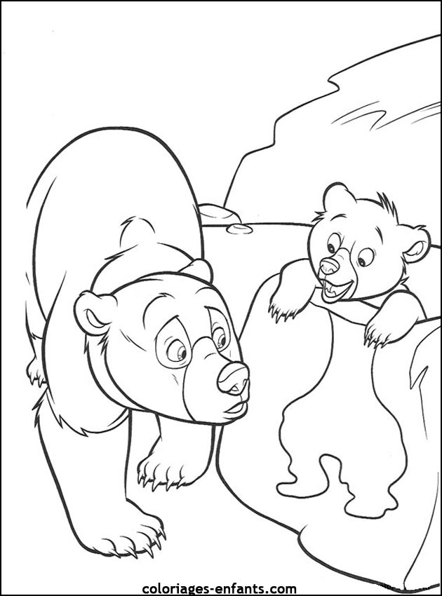 coloriage d'animaux - dessin d'ours  imprimer pour les enfants