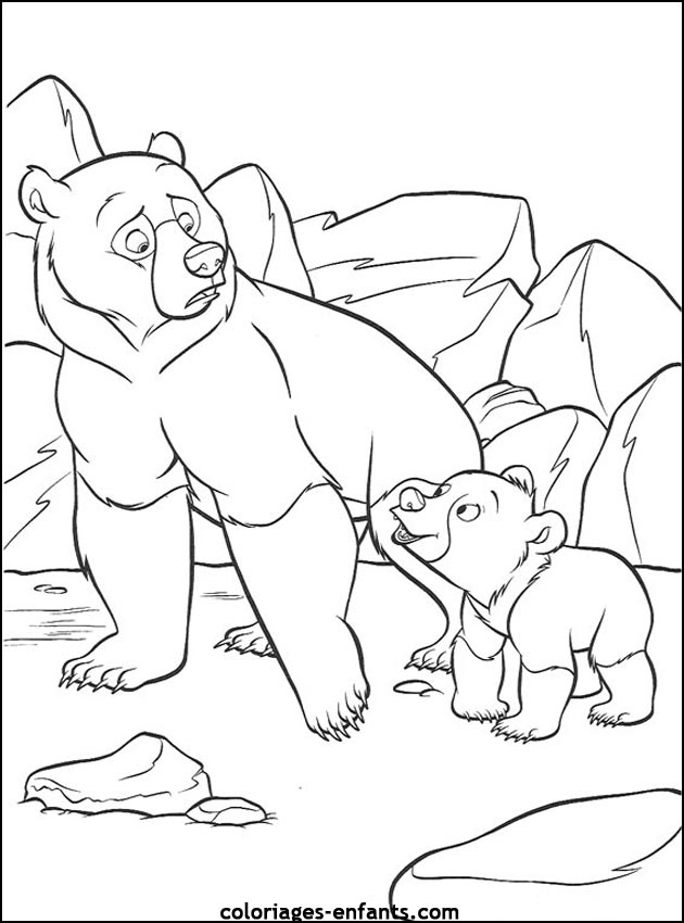 coloriage d'animaux - dessin d'ours  imprimer pour les enfants