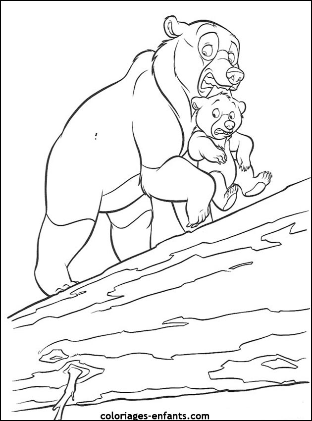 coloriage d'animaux - dessin d'ours  imprimer pour les enfants