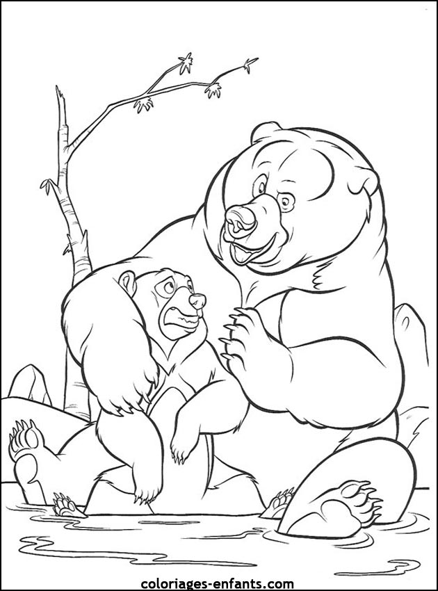 coloriage d'animaux - dessin d'ours  imprimer pour les enfants