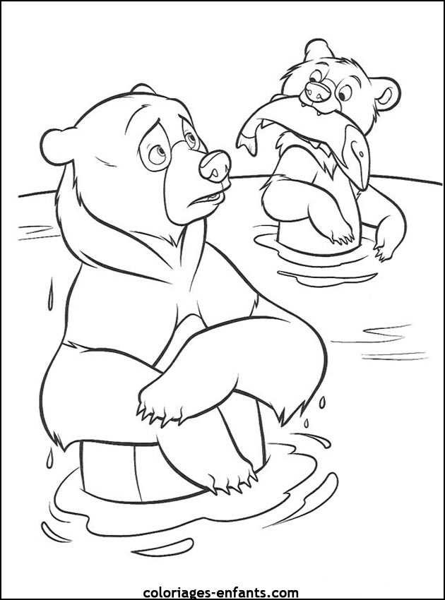 coloriage d'animaux - dessin d'ours  imprimer pour les enfants