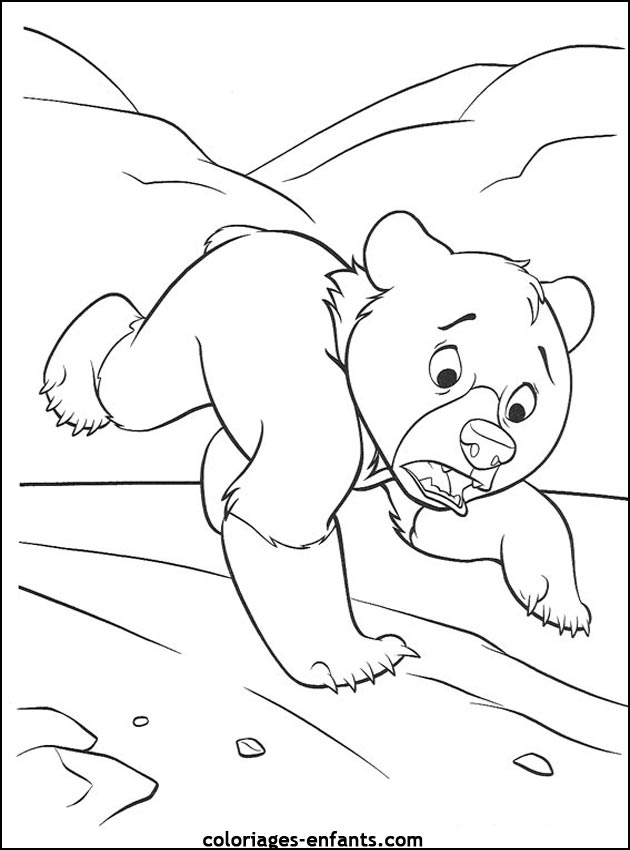 coloriage d'animaux - dessin d'ours  imprimer pour les enfants