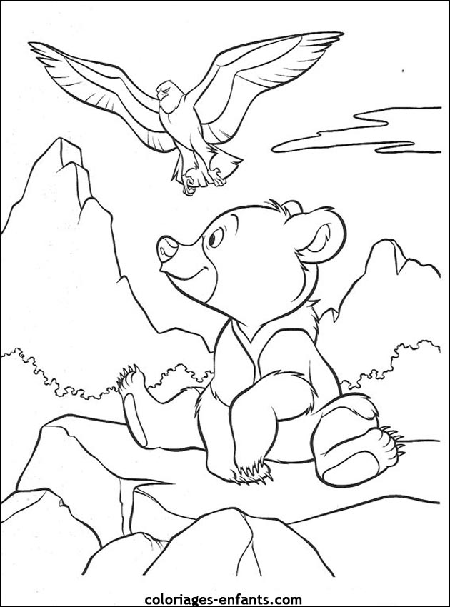 coloriage d'animaux - dessin d'ours  imprimer pour les enfants