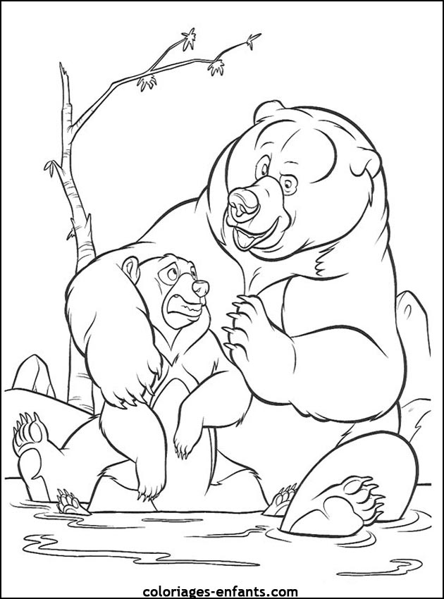 coloriage d'animaux - dessin d'ours  imprimer pour les enfants