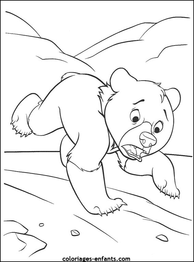 coloriage d'animaux - dessin d'ours  imprimer pour les enfants