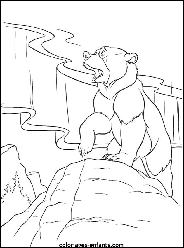 coloriage d'animaux - dessin d'ours  imprimer pour les enfants