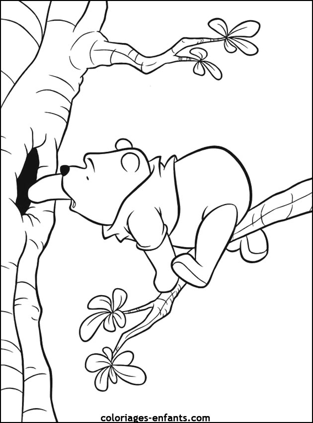 coloriage d'animaux - dessin d'ours  imprimer pour les enfants