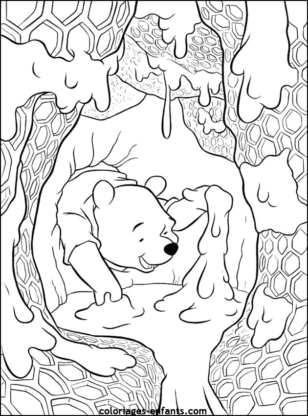 coloriage d'animaux - dessin d'ours  imprimer pour les enfants