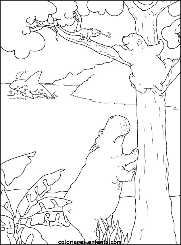 coloriage d'animaux - dessin d'ours  imprimer pour les enfants