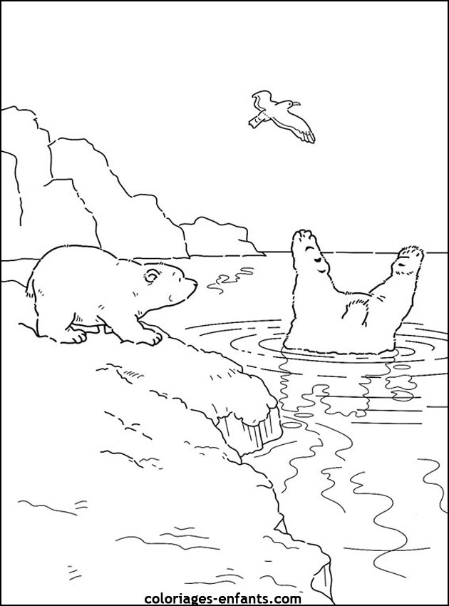 coloriage d'animaux - dessin d'ours  imprimer pour les enfants