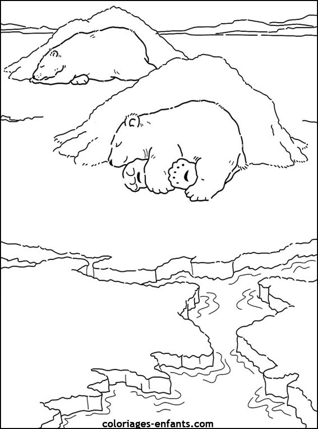 coloriage d'animaux - dessin d'ours  imprimer pour les enfants