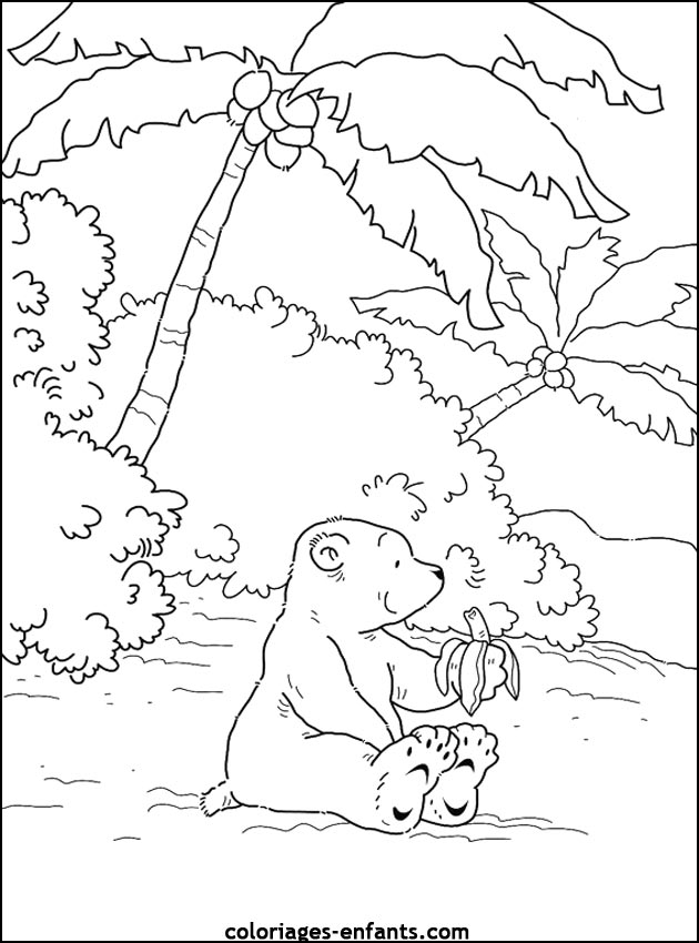 coloriage d'animaux - dessin d'ours  imprimer pour les enfants