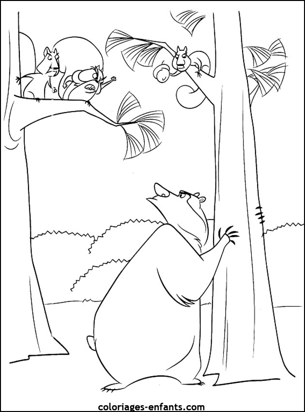 coloriage d'animaux - dessin d'ours  imprimer pour les enfants