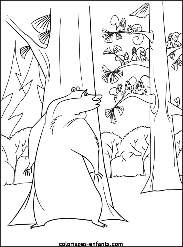 coloriage d'animaux - dessin d'ours  imprimer pour les enfants