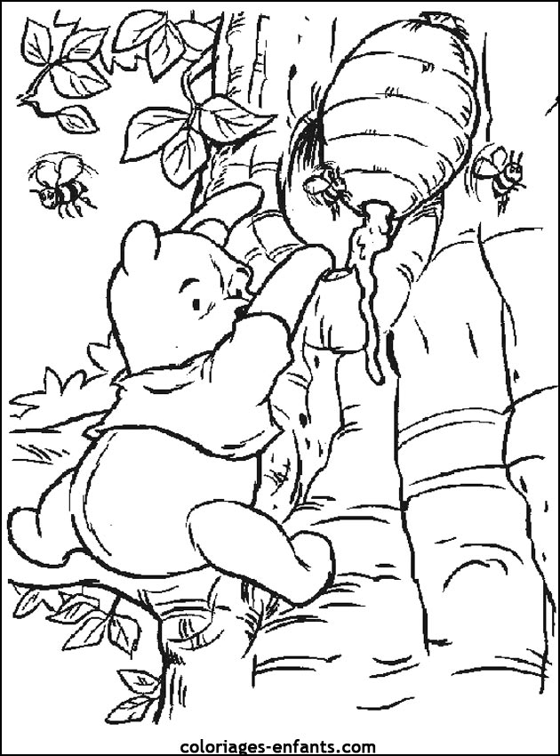 coloriage d'animaux - dessin d'ours  imprimer pour les enfants