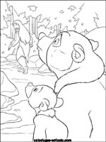 Coloriages d'ours