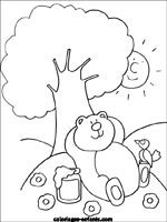 Coloriages d'ours