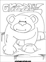 Coloriages d'ours