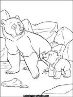 Coloriages d'ours