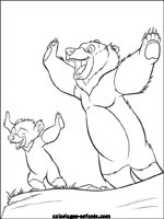 Coloriages d'ours