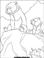 Coloriages d'ours