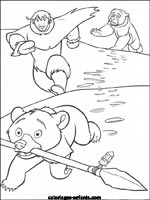 Coloriages d'ours