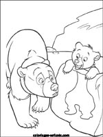 Coloriages d'ours