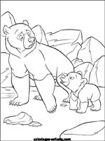 Coloriages d'ours