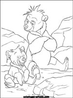 Coloriages d'ours