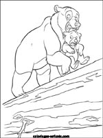 Coloriages d'ours