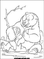 Coloriages d'ours