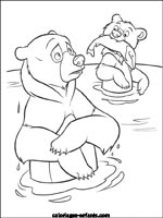 Coloriages d'ours