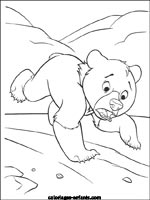 Coloriages d'ours