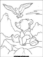 Coloriages d'ours