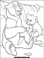 Coloriages d'ours