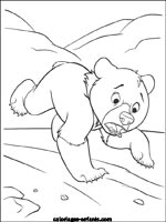 Coloriages d'ours