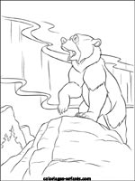 Coloriages d'ours