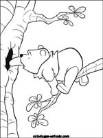 Coloriages d'ours