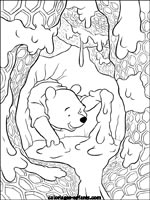 Coloriages d'ours