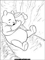 Coloriages d'ours