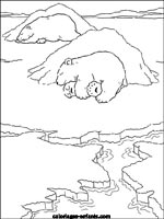 Coloriages d'ours