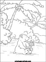 Coloriages d'ours