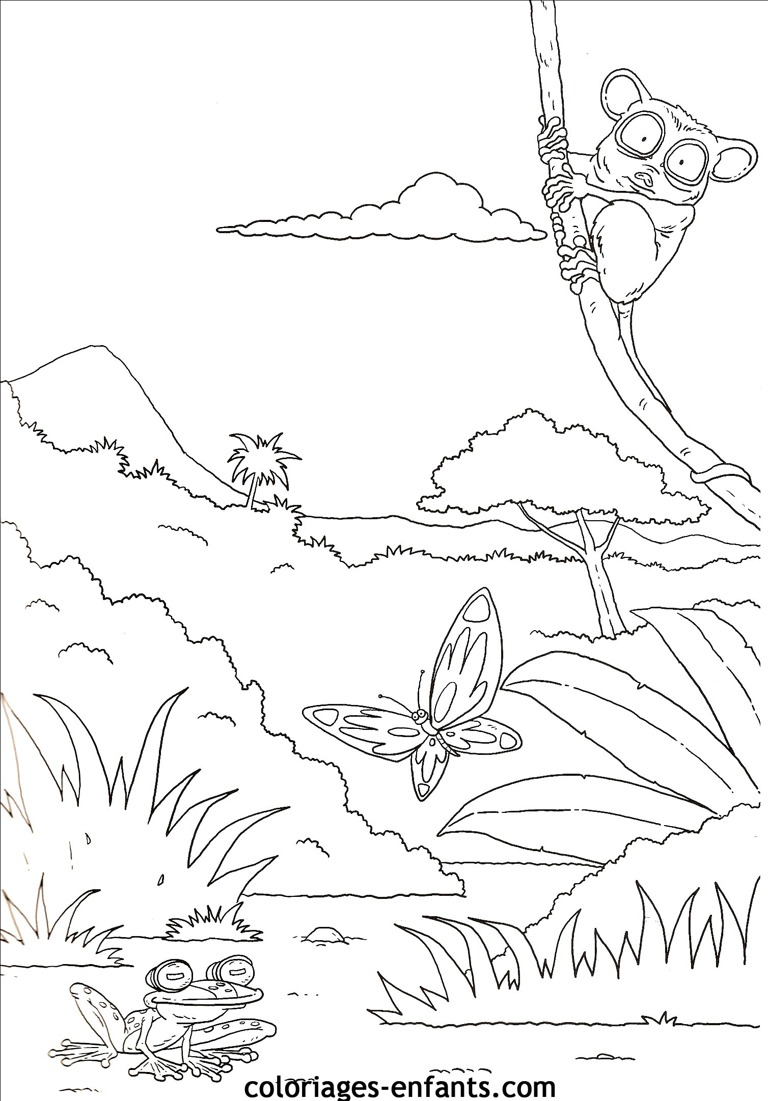 coloriage de papillons sur coloriages-enfants.com