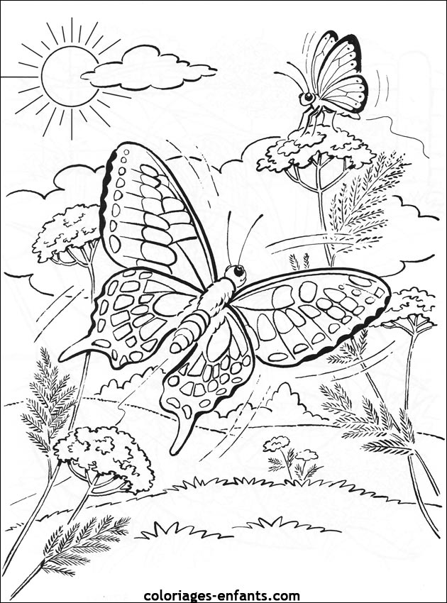 coloriage de papillons sur coloriages-enfants.com