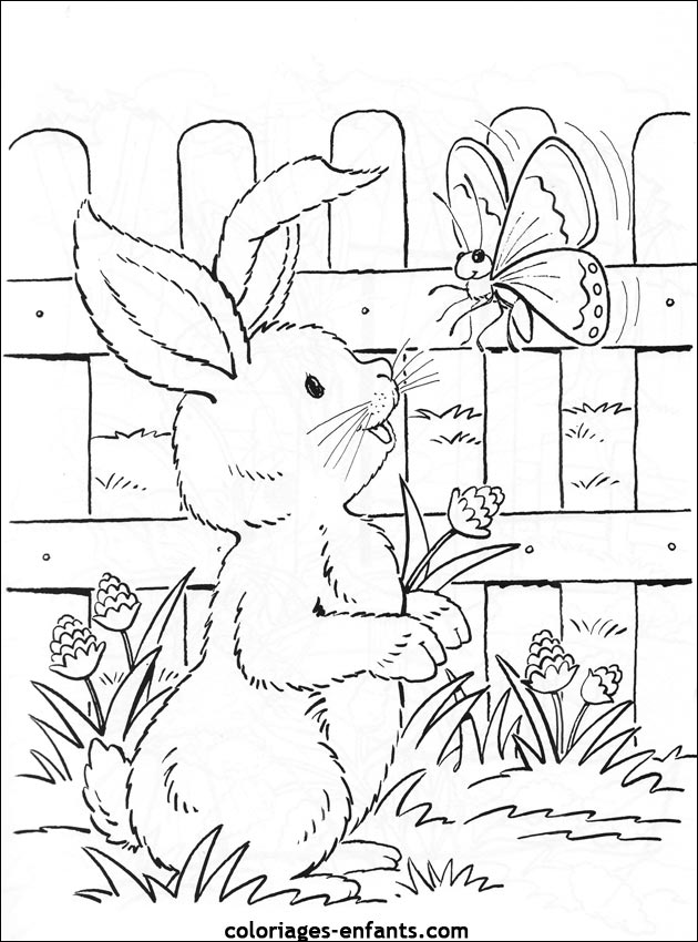 coloriage de papillons sur coloriages-enfants.com