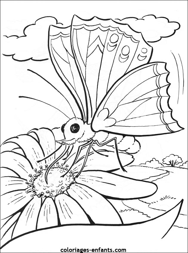 coloriage de papillons sur coloriages-enfants.com